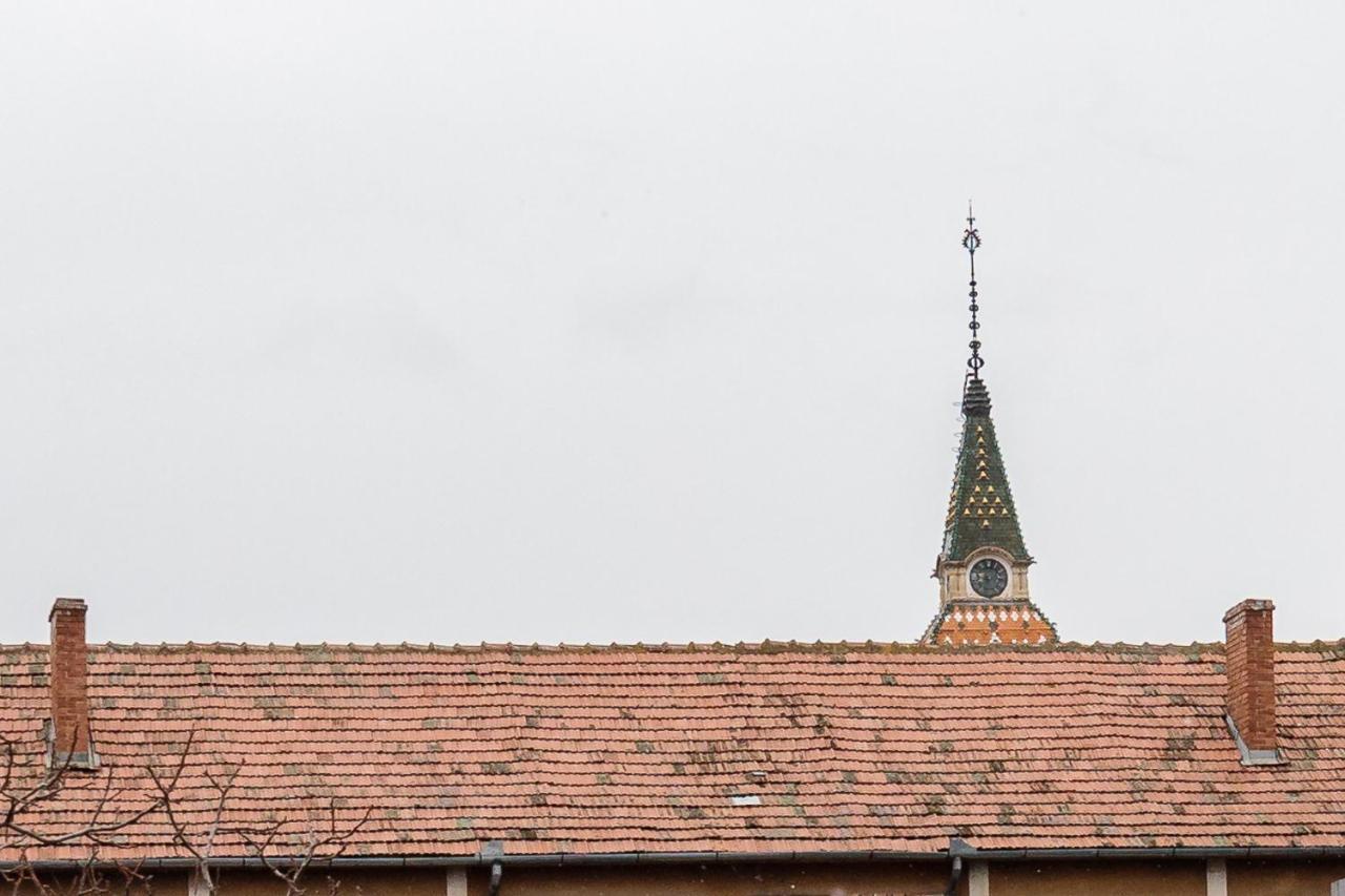 Pensiunea Select Central Targu Mures Exterior foto